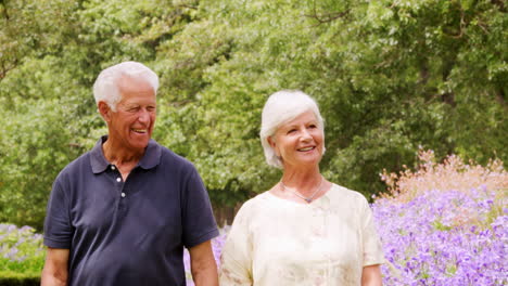 senior white couple walk hand in hand towards camera in park