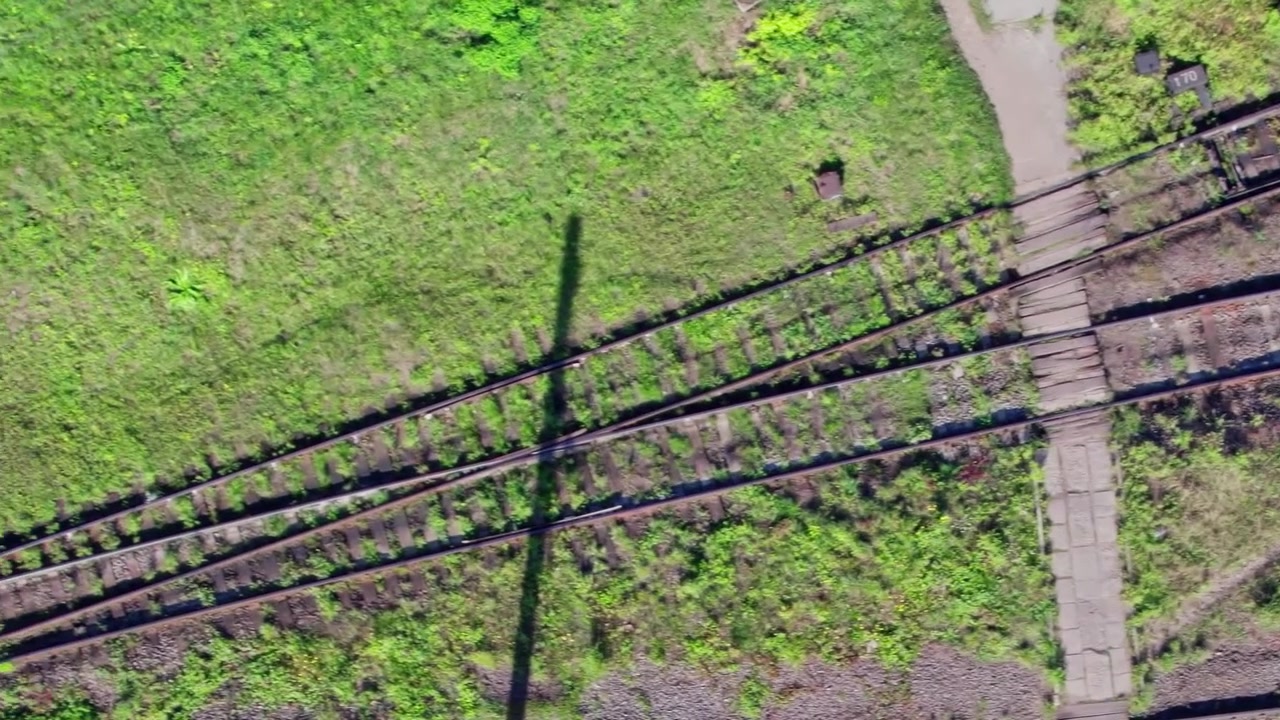 Tracks cross paths near a green area in a railway yard