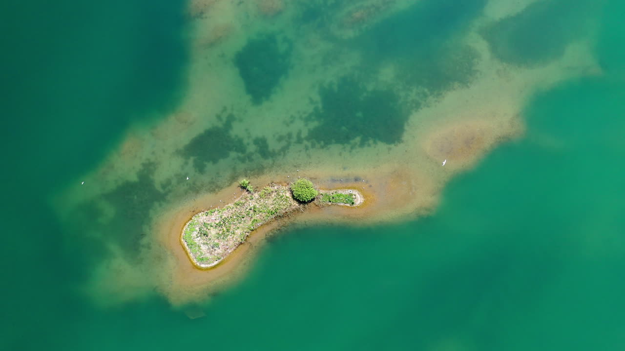 흰 새가 날아 다니는 녹색 호수의 작은 섬