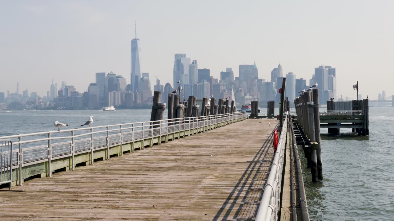 Slow motion landscape of seagulls birds on timber wooden wharf pier jetty in harbour Hudson River New York City Manhattan CBD skyline USA America nature travel tourism