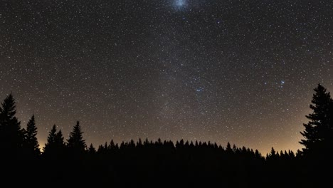 a breathtaking night sky awash with stars and the mystical glow of celestial bodies set against a dark silhouette of evergreen trees in the wilderness