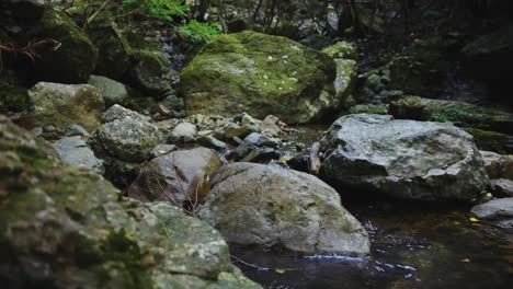 Unberührter-Moosbedeckter-Fluss,-Reine-Landschaft-Der-Japanischen-Täler