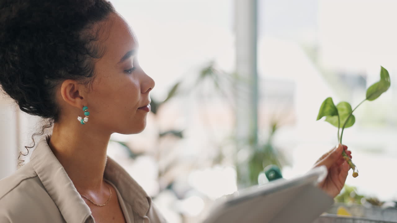 mujer examinando una planta de interior con una tableta
