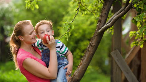 mother feeding her son with an apple in the garden