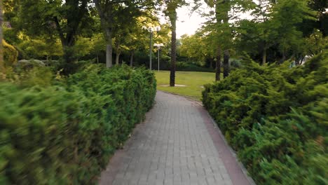 smooth shot of a park walkway