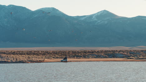 flock of birds above lake with distant off grid camper in wild california