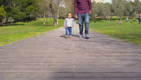 afro-american father walking in park with little mixed-race son