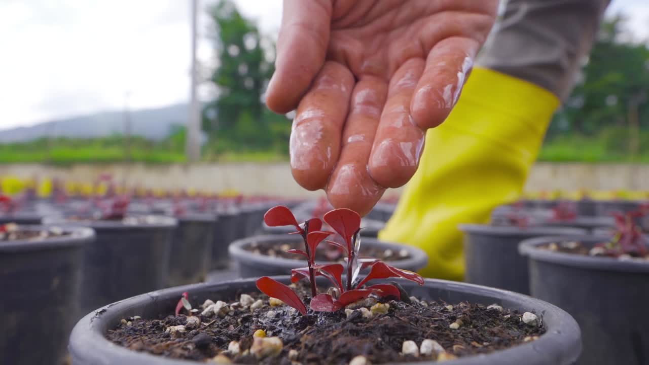 para regar las flores.