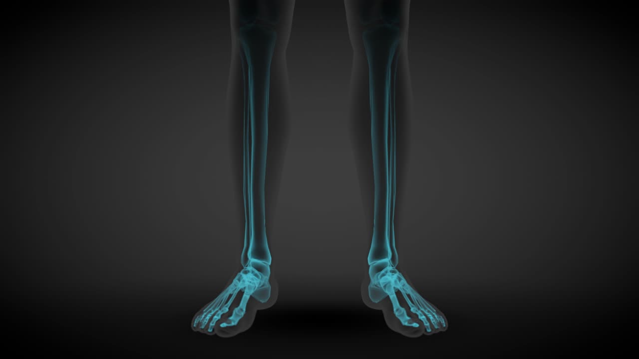 3d 무 링 애니메이션: 남성 몸의 전면 뷰 - 골격 와 다양한 내부 장기의 스레이 스캔, 의학 일러스트 - 4k 60fps uhd