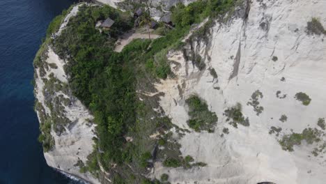 Rumah-Pohon-treehouse-Huts-on-oceanside-steep-cliff-in-Nusa-Penida-Island