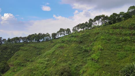 Ríos,-árboles,-Animales-Y-Naturaleza-De-Colombia.