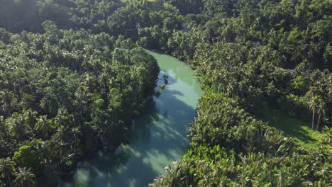 that's what a river in the philippines looks like, surrounded by palm trees and jungle, some small houses from local people