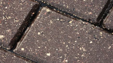 Raindrops-fall-on-a-paved-road