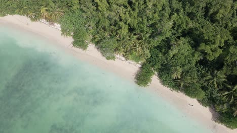 Birds-eye-view-of-jungle-and-sea