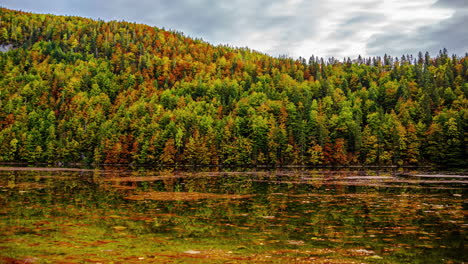 Timelapse-En-La-Orilla-Del-Hermoso-Lago-Toplitz-En-Austria-Con-Hojas-Flotantes-En-El-Agua-Y-Vista-Del-Colorido-Y-Denso-Bosque-En-Otoño-Con-Nubes-A-La-Deriva