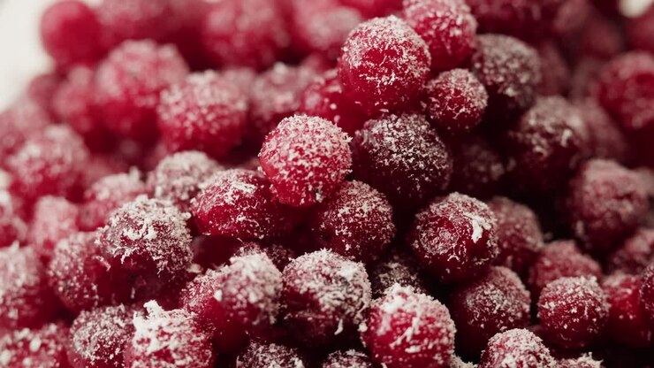 Frozen cranberries in snow for tea, Background Close up of cranberry berries in winter park, ice fridge macro.