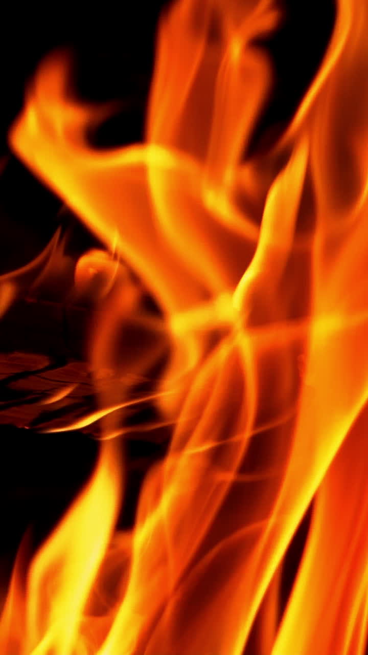 Bright burning wood slow motion. Fire flame. Bonfire Vertical video