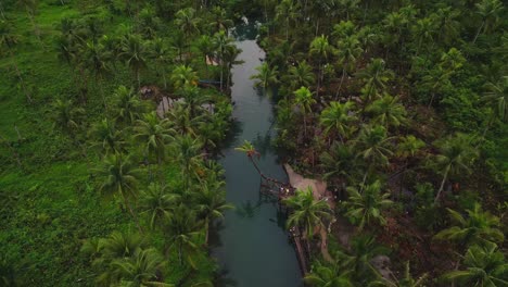 Aerial-Top-Of-The-Road-Coconut-Palm-Forest-Viewpoint-On-Siargao-Island-in-the-Philippines