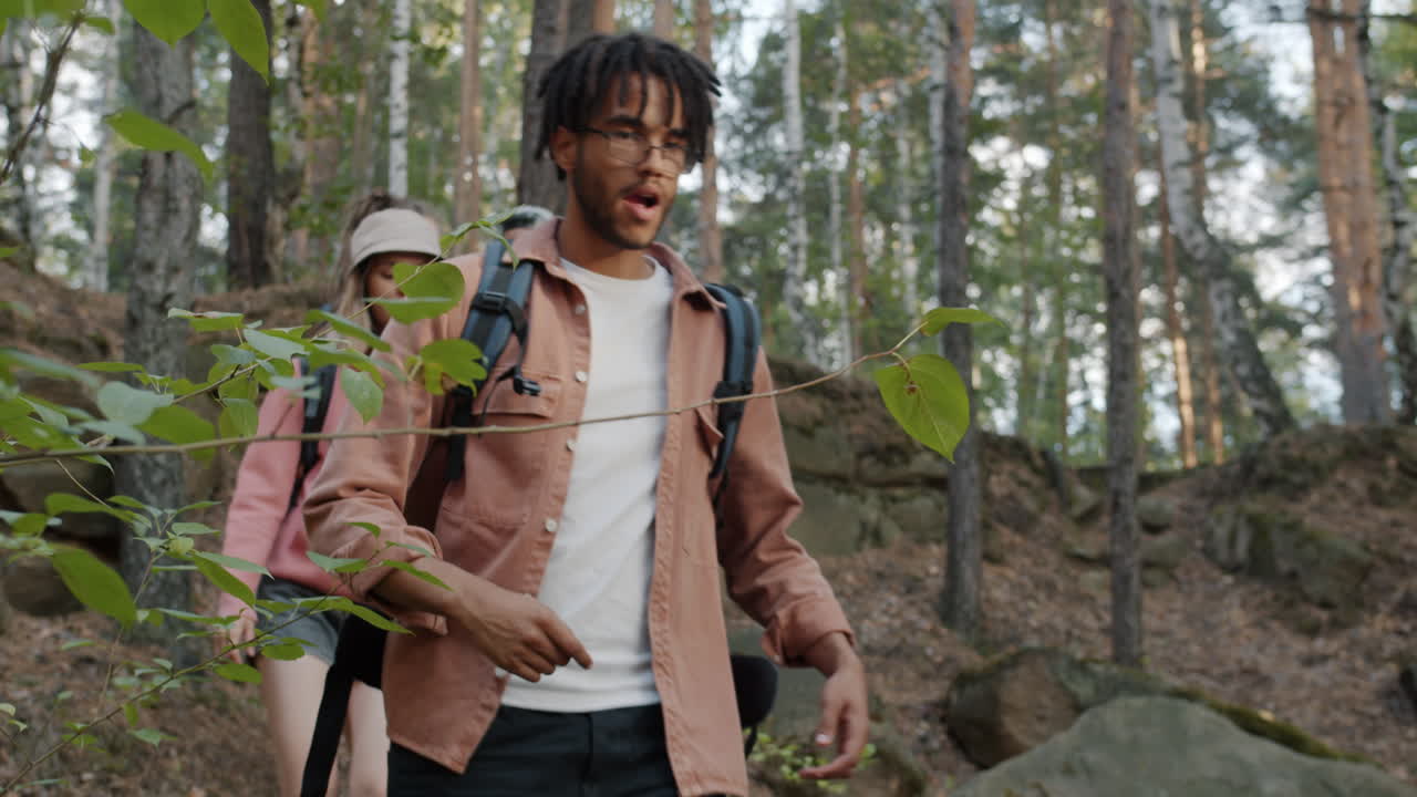 amigos haciendo senderismo en el bosque.