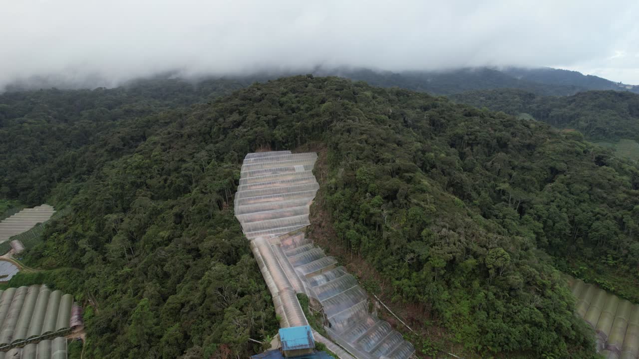 말레이시아의 카메론 하이랜드 지역 내의 브린창 지역의 일반 풍경
