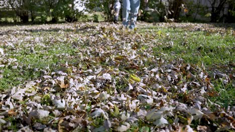 Tiro-Estático-Macho-Golpe-Hojas-De-Otoño-En-El-Jardín-Del-Patio-Hacia-La-Cámara,-Cámara-Lenta