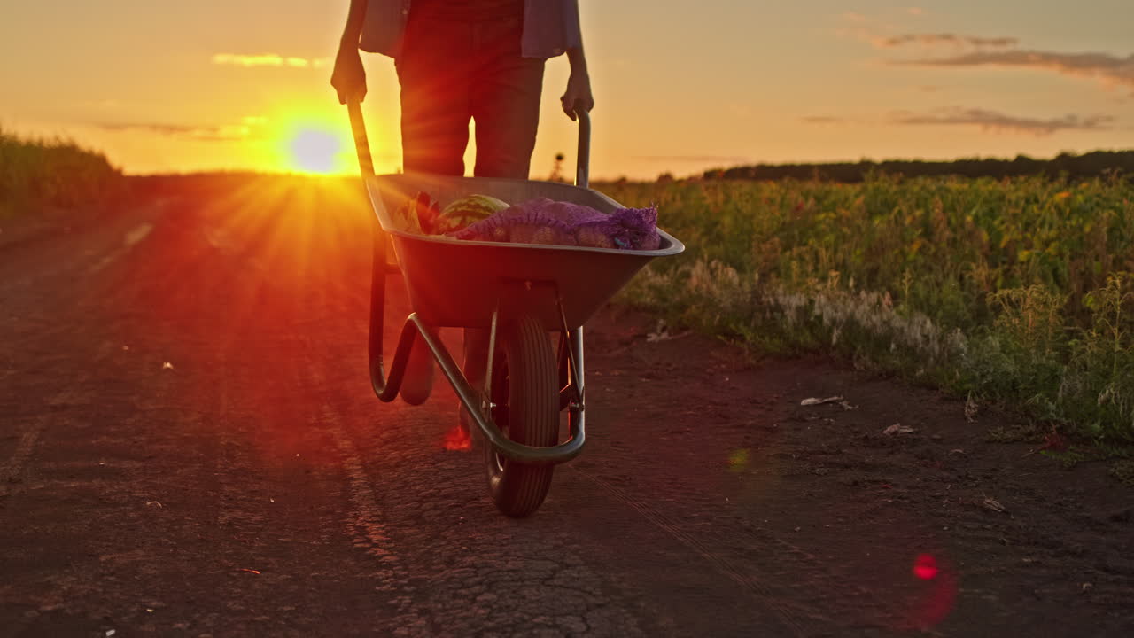 Agricoltore che cammina con una carriola al tramonto