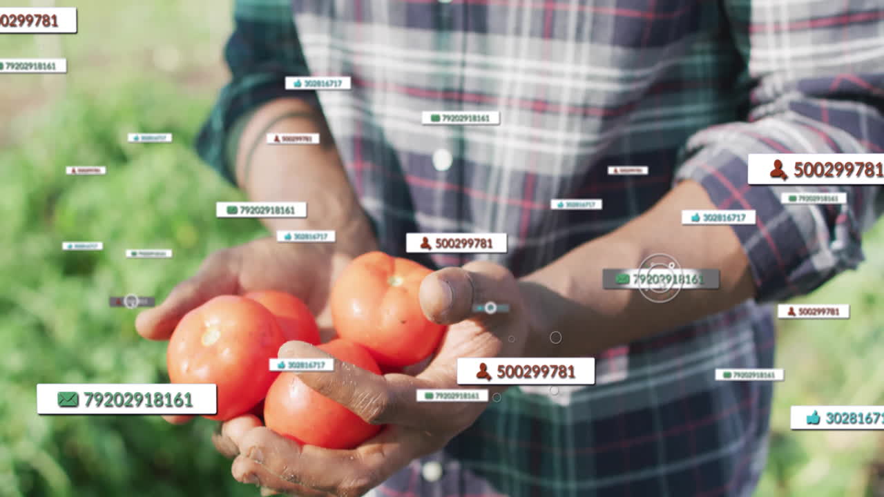 Man holding ripe red tomatoes in agritech, showing AR labels with phone numbers and thumbs-up icons