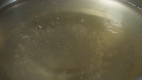 pot of boiling broth