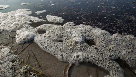 foam floating  on water surface on shore