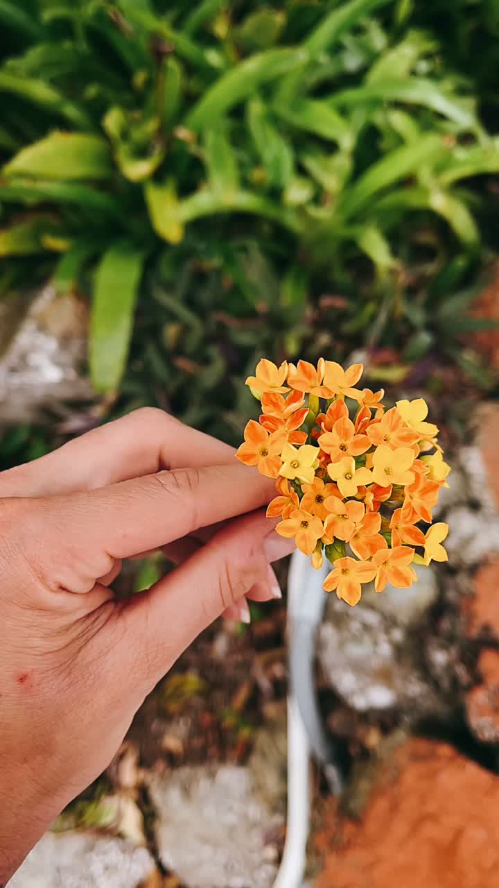 un ramo de flores de naranja en la mano