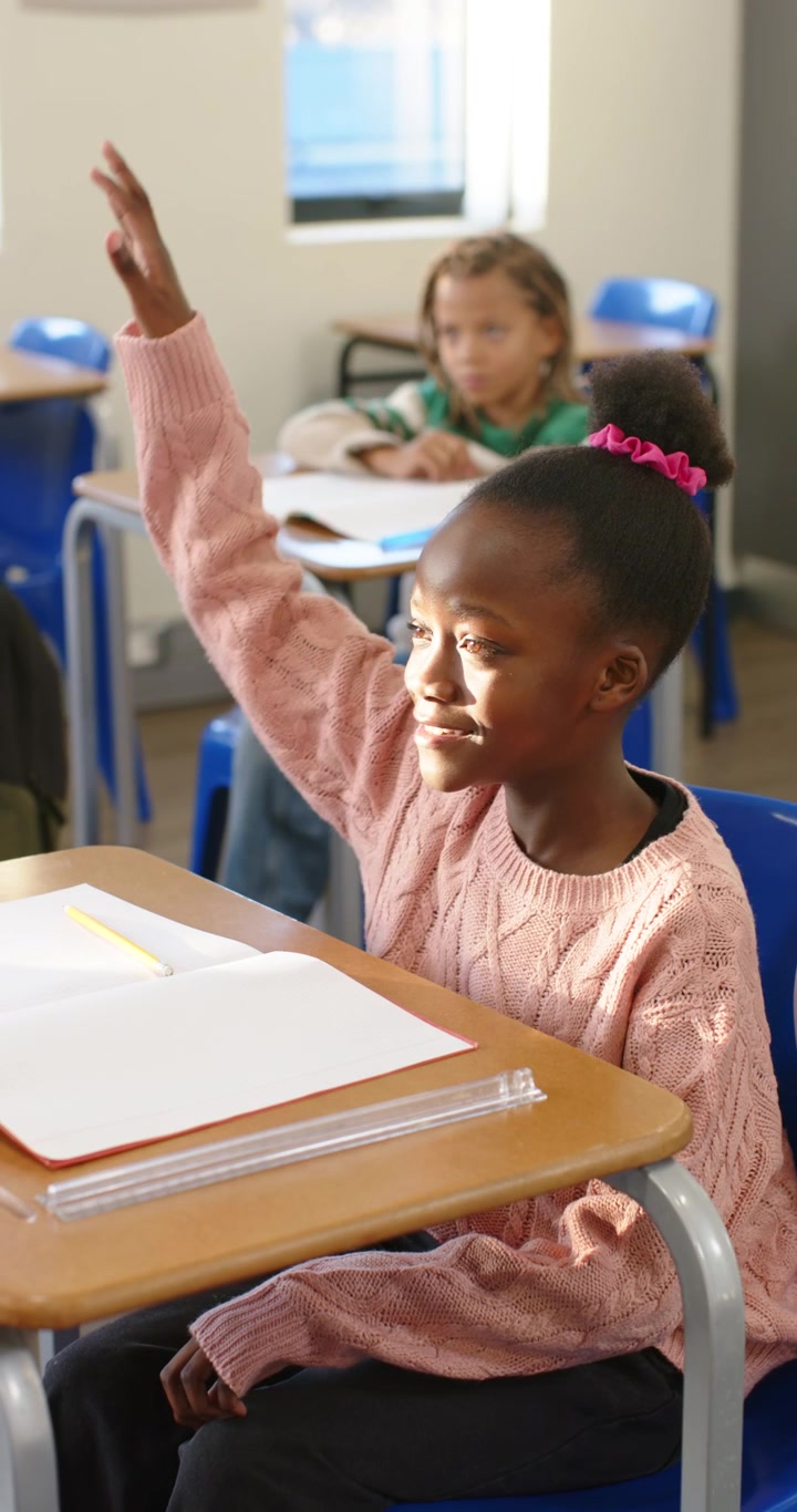 Video verticale: Classe di studenti afroamericani illuminata dal sole, con una studentessa che alza la mano con una matita.