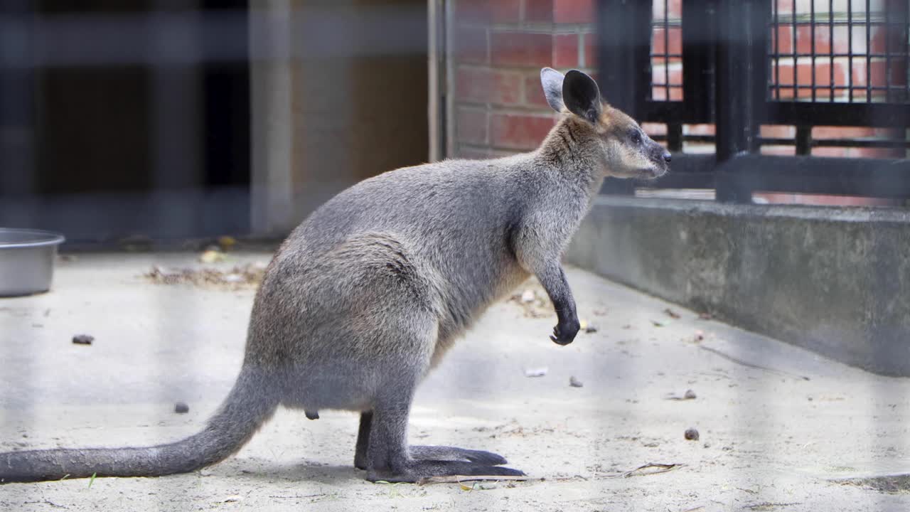 요코하마 최고의 전망