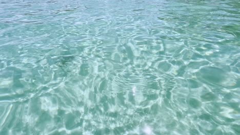 Clean-blue-flag-beaches-of-Halkidiki-Peninsula,-Greece