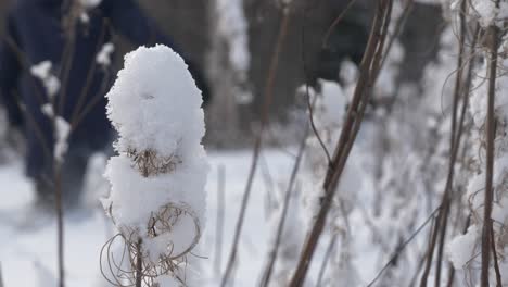 Person-going-through-deep-snow-in-background