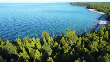 playa turquesa y denso bosque en la bahía de georgia, península de bruce, ontario, canadá