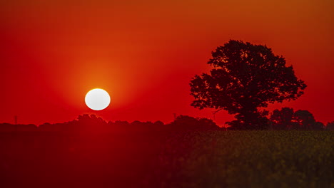 Telephoto-timelapse-rising-sun,-red-and-orange-sky,-nature-landscape-with-tree