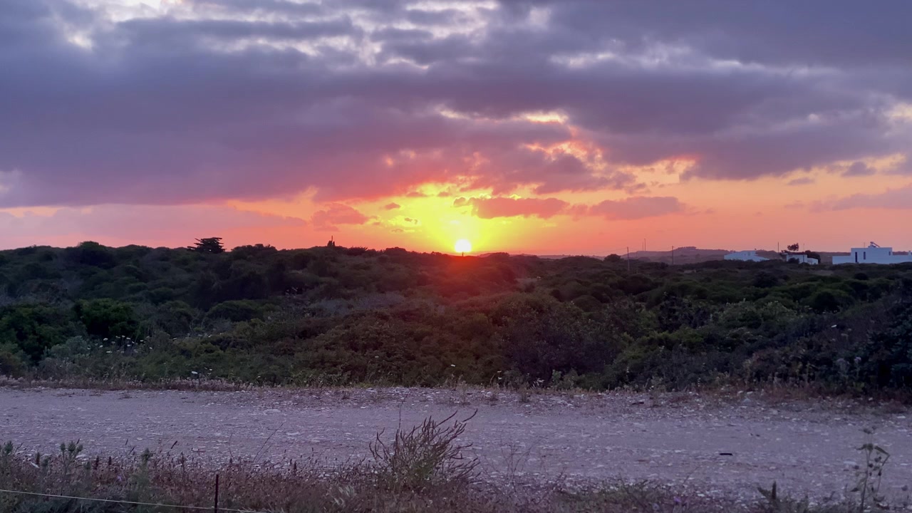 Vibrante atardecer tiñendo el cielo nublado sobre vegetación verde y un camino de tierra, ofreciendo una serena vista vespertina.