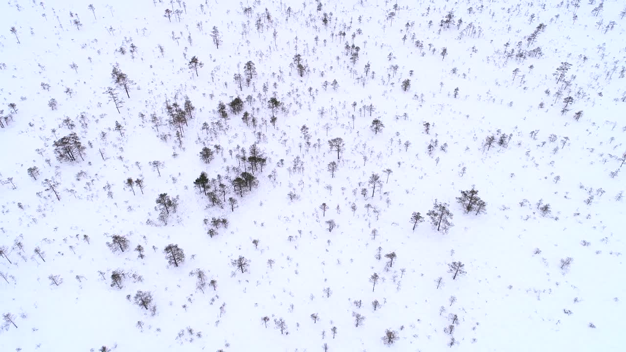 vista aérea de los paisajes nórdicos cubiertos de nieve en estonia.