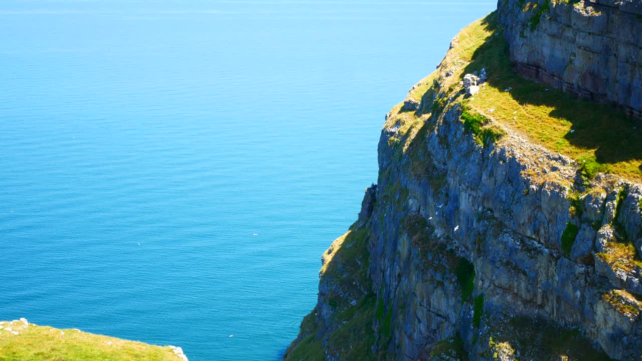 pájaros volando contra el fondo azul del océano en el borde del acantilado costero de la montaña rocosa de hierba soleada en la distancia