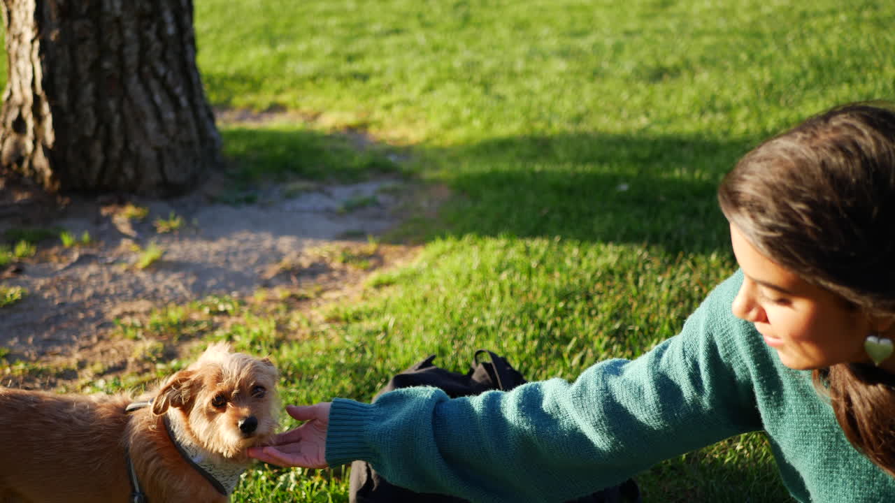 Close up of a young hispanic woman petting her small pet dog and playing together in a park field