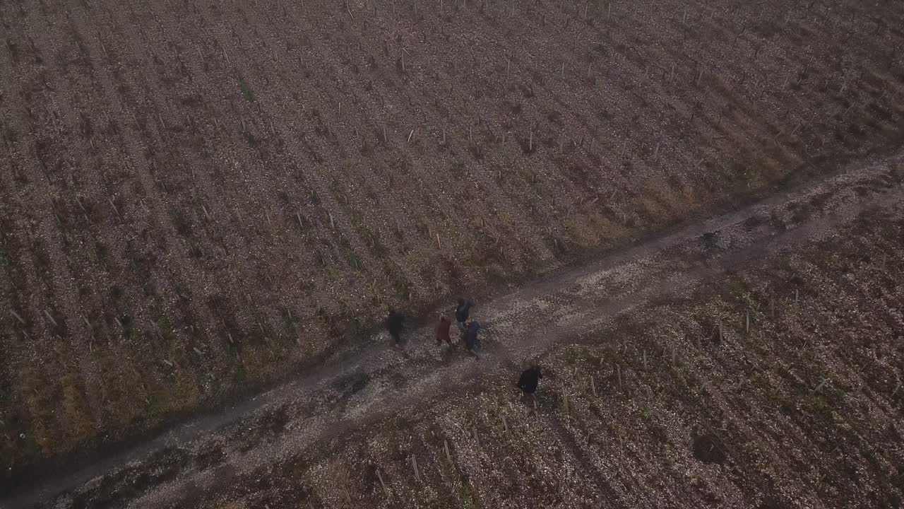 gente caminando en los campos del castillo de cos d'estournel el día de invierno, burdeos en francia