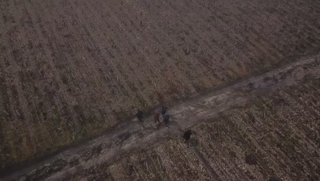 people walking on fields of cos d'estournel castle on winter day, bordeaux in france