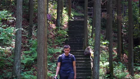 happy tourist man smiles while climbing down stairs after passing wild monkey in zhangjiajie, china