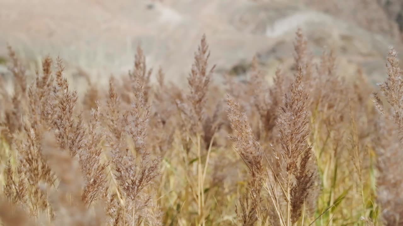 konorcheck canyon이라는 붉은 절벽이 있는 작은 개울 협곡