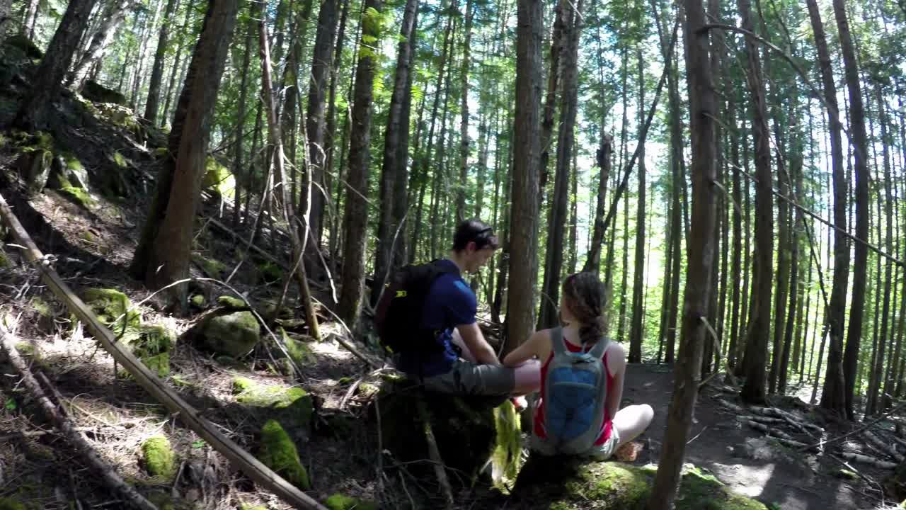 숲에서 서로 상호 작용하는 커플 4k