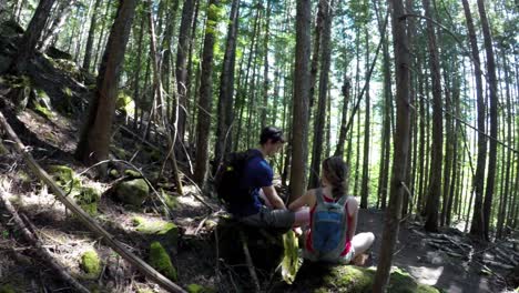 pareja interactuando entre sí en el bosque 4k