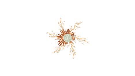 abstract colorful flowers isolated on a white background. animation. decorative ornamental circle of schematic flowers and petals