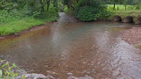 Estanque-De-Agua-Clara-Pequeño-Río-En-El-Bosque