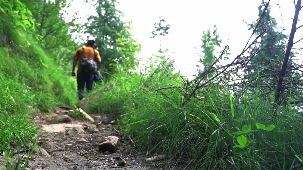 조기니 폭포, 마날리에서 무성한 녹색 슬로우 모션으로 트레일을 걷는 남자의 팬 포커스 샷