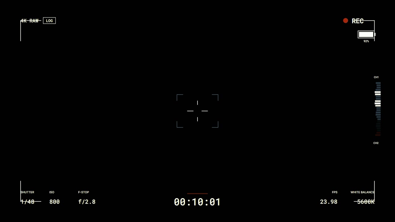 Digital Camera Viewfinder Overlay with Recording Indicator